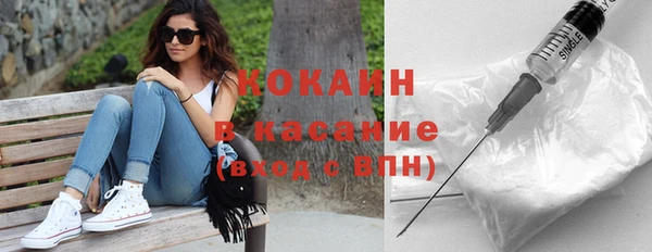 индика Снежинск