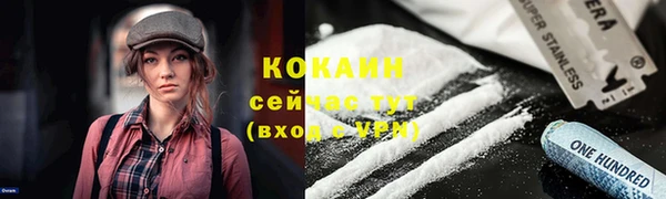 индика Снежинск