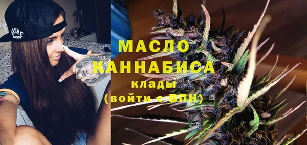 индика Снежинск