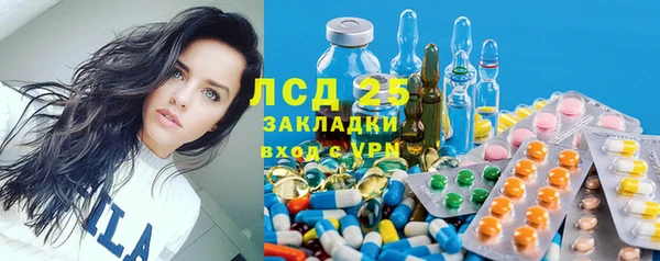 индика Снежинск