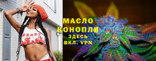 индика Снежинск