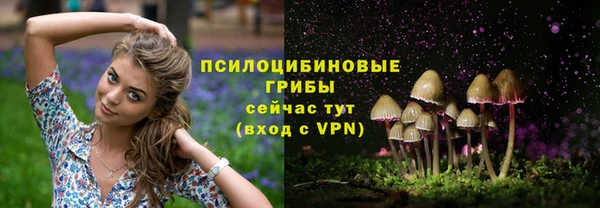 кокаин Снежногорск