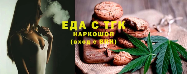 индика Снежинск